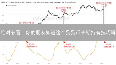 绝对必看！你的朋友知道这个狗狗币长期持有技巧吗？普通人和高手差距有多大？