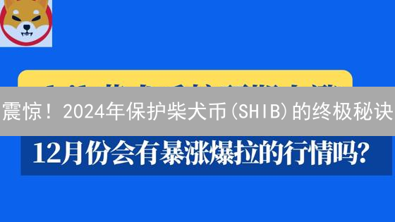震惊！2024年保护柴犬币(SHIB)的终极秘诀：5大安全存储方案