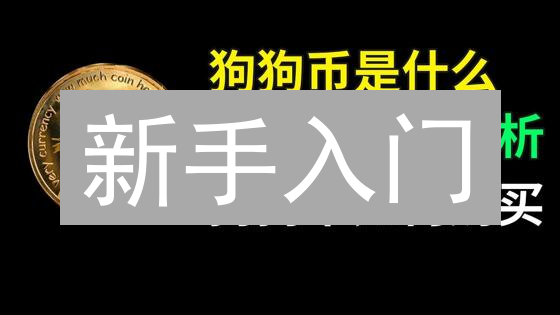 新手入门：3步掌握狗狗币交易所注册技巧 | 专家建议
