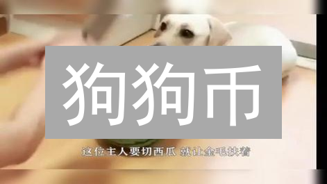 狗狗币：为何它像不死鸟一样存在？99% 的人忽略了这几点！