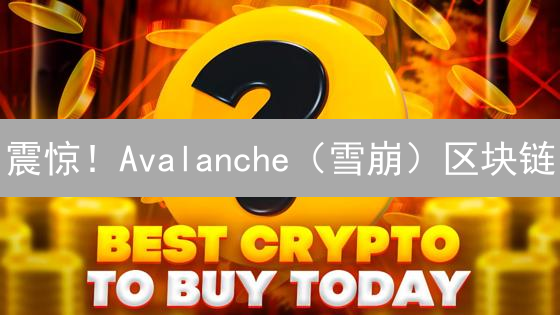 震惊！Avalanche（雪崩）区块链：2024 年 DeFi 爆发的新秘诀？