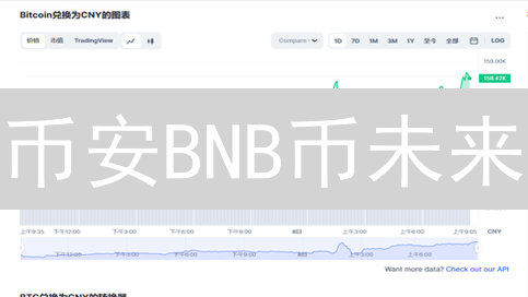 币安BNB币未来？专家深度分析，你的朋友知道吗？
