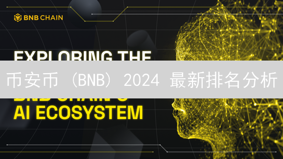 币安币 (BNB) 2024 最新排名分析：影响因素与未来展望