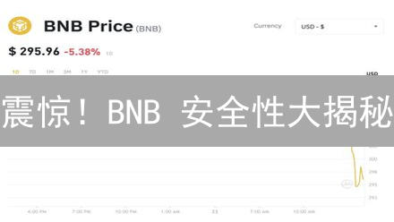 震惊！BNB 安全性大揭秘：2024 最新评估与风险规避指南