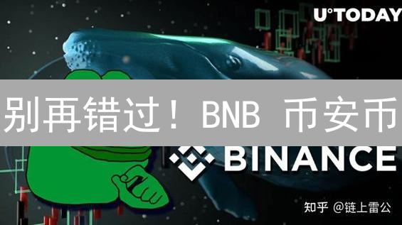 别再错过！BNB 币安币：一文读懂其崛起之路与未来潜力