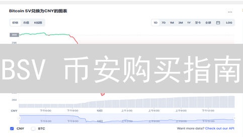 BSV 币安购买指南：新手避坑攻略，像老手一样轻松交易！