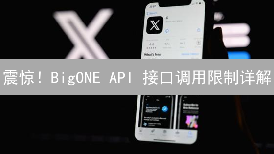 震惊！BigONE API 接口调用限制详解：高效交易的秘诀