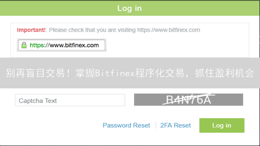 别再盲目交易！掌握Bitfinex程序化交易，抓住盈利机会