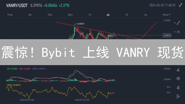 震惊！Bybit 上线 VANRY 现货：Web3 游戏新纪元？（2024 最新）