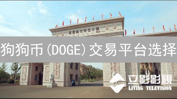 狗狗币(DOGE)交易平台选择：火币 vs 火币网，专家解读差异！