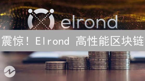 震惊！Elrond 高性能区块链：下一代技术的 5 大猜想