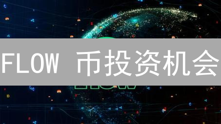 FLOW 币投资机会？专家揭秘币安购买、存储、交易全攻略！