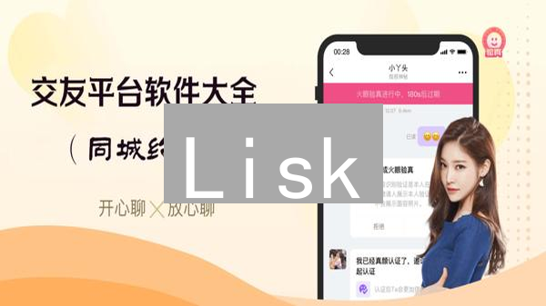 Lisk：像搭积木一样开发区块链应用，2024 年最新教程