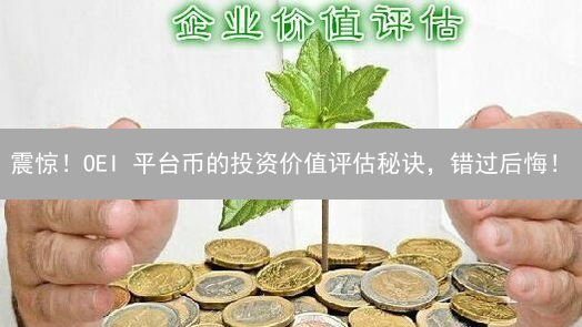 震惊！OEI 平台币的投资价值评估秘诀，错过后悔！