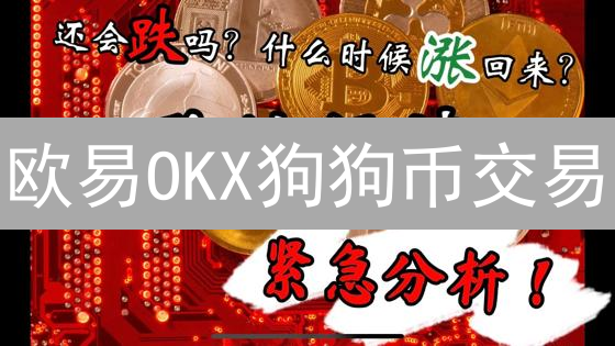 欧易OKX狗狗币交易：专家解读平台特性与交易策略 | 投资DOGE的明智之选？