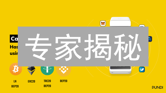 专家揭秘：为什么投资者都关注 PUNDIX？欧易购买指南