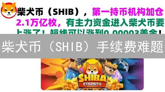 柴犬币（SHIB）手续费难题：如何像猎豹一样快速突围？